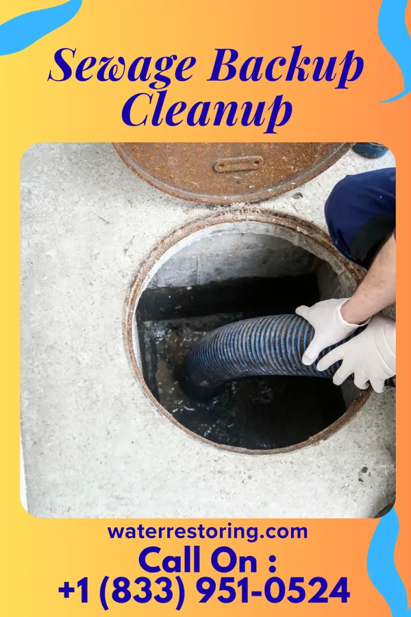 Sewage Backup Cleanup in Medford, MA